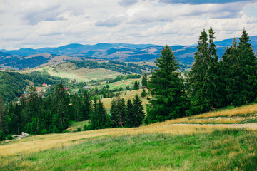 landscape mountain view in summer