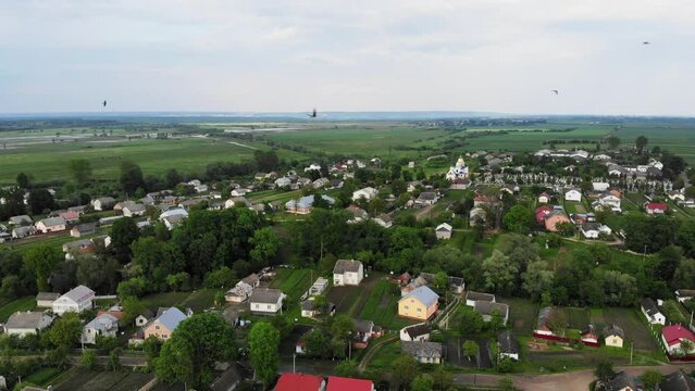 Group of swallows flies over a Ukrainian village, aerial view