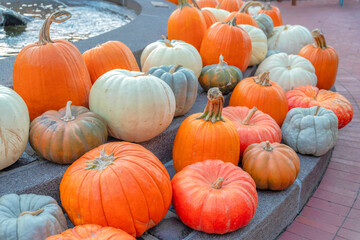 Pumpkins on display beside the water fountain near the Fisherman's Wharf in San Francisco, CA