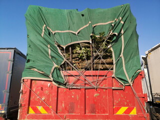 Alter Lastwagen für den Transport von Holz mit roter Pritsche und grüner Plane vor blauem Himmel...