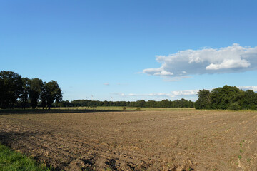 Fototapeta na wymiar Plowed field on blue sky with clouds.
