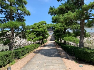 富山市の富山城址公園