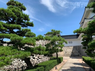 富山市の富山城址公園