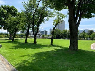 富山市の富山城址公園