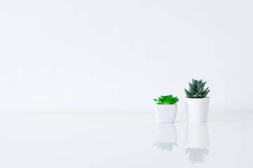 Artificial plants in a white pot on white table with white wall backbround for Interior decoration,...