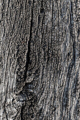 vertical background in the form of an old wooden surface