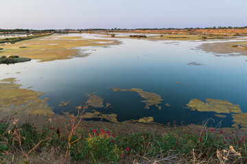 Marshes. Panoramic of National Nature Reserve of Lilleau des Niges
Ré Island. Les Portes-en-Ré,...