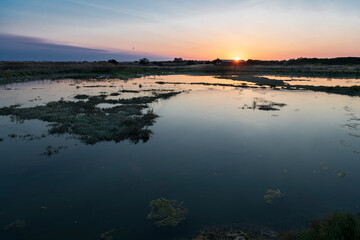 Sunset in the marshes. Panoramic of National Nature Reserve of Lilleau des Niges
R&eacute; Island. Les Portes-en-R&eacute;, Francia