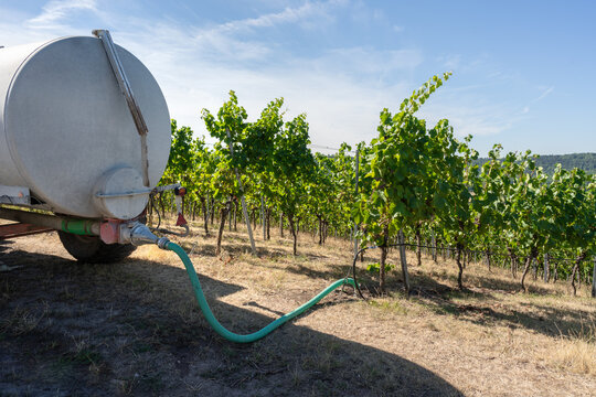 Wassertank zum Bew&auml;ssern der Weinreben in der Landwirtschaft