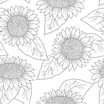 Sunflower seamless pattern background flower graphic black white sketch illustration vector 