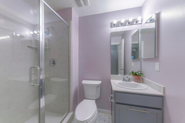 Small traditional bathroom interior with toilet, vanity sink, and shower stall
