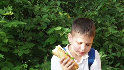 schoolboy teenager eating a sandwich in the garden or school dore during a howling break. school...
