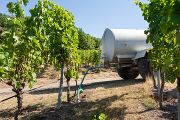 Wassertank zum Bewässern der Weinreben in der Landwirtschaft