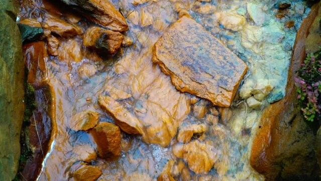 Torrente oro
