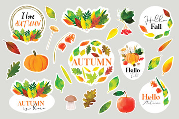 Set stickers Hello autumn with autumn illustration with colorful leaves and autumn harvest of pumpkin, apple, viburnum and mushroom