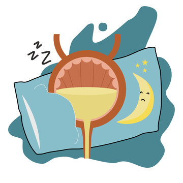 Nocturia ; problem of bladder make you wake up during the night to urinate