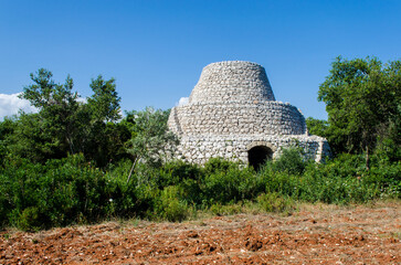 Una pajara, tipica costruzione rurale del Salento in Puglia, fra gli ulivi secolari che crescono in...