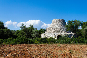 Una pajara, tipica costruzione rurale del Salento in Puglia, fra gli ulivi secolari che crescono in...