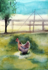 Catalana hen. Poultry farming. Chicken breeds series. domestic farm bird watercolor illustration