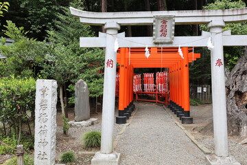 常盤稲荷神社の鳥居