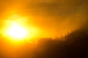 Fototapeta premium Dawn in the fog in the inland of Gran Canaria. Canary Islands. Spain.