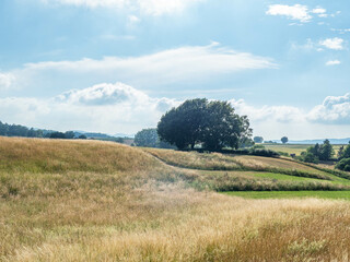 Fototapeta na wymiar Landscape on the country in sunshine