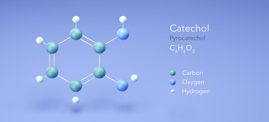 catechol, pyrocatechol. molecular structures, 3d rendering, Structural Chemical Formula and Atoms with Color Coding