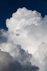 An image of white huge cumulonimbus cloud , rising up in the dark blue sky. vertical image. Cloudscape, Japan