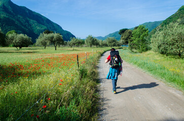 Una ellegrina cammina lungo la ciclabile che segue la valle del fiume Serchio lungo la Via del...