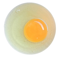 egg transparent PNG