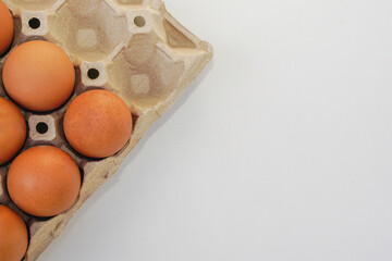 Chicken raw eggs in paper egg panel or in an egg stall on white background.
