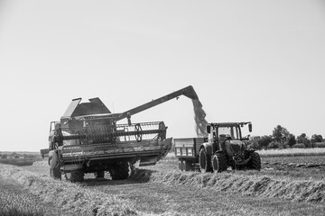 Fototapeta premium harvester pumping grain to trailer