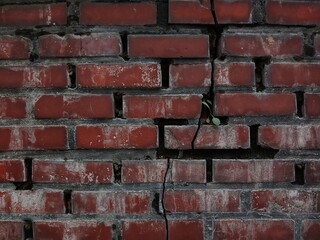 Obraz premium wall of a vintage red brick house