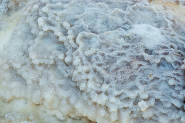 Detail of organic salt white crystals on the Dead Sea shore, Jordan. Natural sea-salt beach...