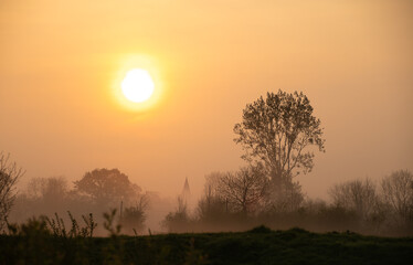 Fototapeta na wymiar Sunrise over a foggy meadow in Normandy, France
