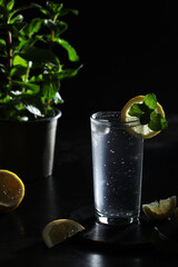 A glass with sparkling water with lemon