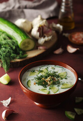 A bowl with Tarator cold soup - traditional Bulgarian dish