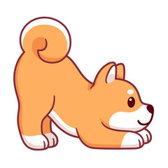 Cute Shiba Inu yoga Downward Facing Dog