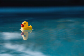 Summer season, the concept of a children's game. Little rubber yellow ducks in the pool. Toys...