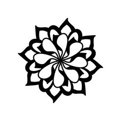 black and white flowers for decoration