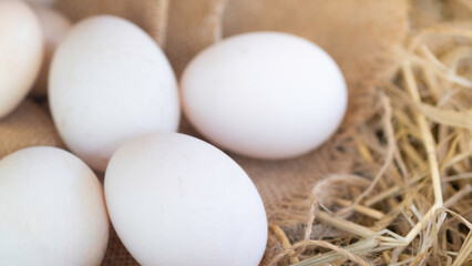 Close up shot Duck organic eggs in the hay nest. Food for healthy life form nature farm Sell within the market.