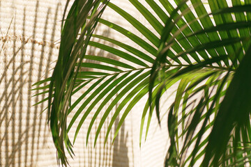 Obraz na płótnie Canvas Tropical Palm leaves with shadows on woven bamboo mat wall abstract blurred tropical summer background.