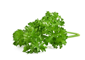 Fresh Parsley on white background.