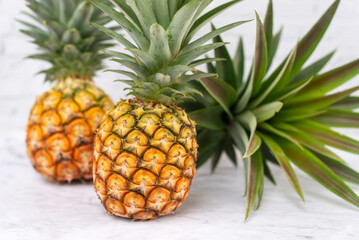 freshly harvest organic pineapple on white table background.