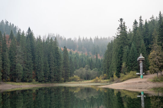 Lake in mystery fog with autumn forest. Ghostly mountain lake. Ukrainian lake Synevir
