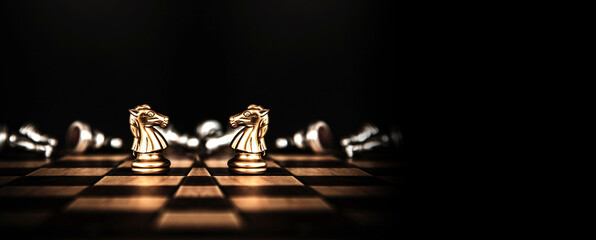 Knight horse chess stand on chessboard concept of team player or business team and leadership...