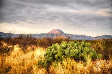 Big Bend Texas © Brian Bownds