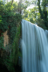 waterfall in the forest