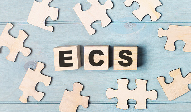 Blank puzzles and wooden cubes with the text ECS Electronic Clearing Service lie on a light blue background.