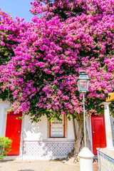 Fototapeta na wymiar Beautiful pink flowers in front of two red doors and a street light